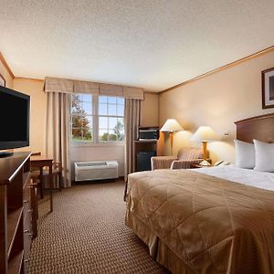 Family One-Bedroom Suite